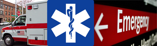 ems__training_banner